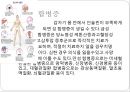 [건강교육] 당뇨에 대해서 7페이지