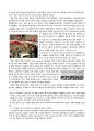 [독일어권 지역학] 독일 적군파(Der Baarder Meinhof Komplex, RAF) - 혁명을 꿈꾸었던 테러리스트 2페이지