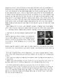 [독일어권 지역학] 독일 적군파(Der Baarder Meinhof Komplex, RAF) - 혁명을 꿈꾸었던 테러리스트 3페이지