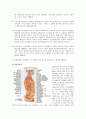 의학 - 신경계 구조와 기능, 진단검사에 관해 (신경계의 구성세포, 중추 신경계, 말초신경계, 진단검사) 9페이지