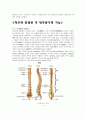 [해부학] “등”근육 분포도 & 척추와 연결된 각 내부장기와 기능 6페이지