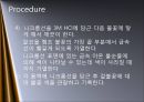 화학실험 -불꽃시험 14페이지