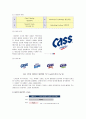 (A+) [카스 CASS 마케팅]/기업선정이유/국내맥주시장분석/세계맥주시장분석/카스 자사분석/카스경쟁사(하이트,하이네켄,아사히)/카스STP,4P,SWOT분석 7페이지