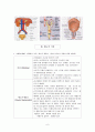 배뇨 PBL 발표자료 (배뇨의 정의, 비뇨기계의 구조와 기능, 배뇨의 기전, 배뇨에 영향을 미치는 요인, 배뇨의 변화 및 장애) 6페이지
