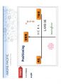 AMORE PACIFIC 글로벌 기업 도약을 위한  공격전략 28페이지