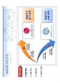 AMORE PACIFIC 글로벌 기업 도약을 위한  공격전략 31페이지