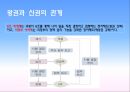 16. 조선의 성립과 발전 6페이지