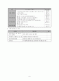 대학생 자원봉사 프로그램 개발  11페이지