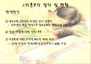 반쪽 엄마 “미혼모” 9페이지