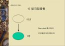 행정중심복합도시 건설에 대한 검토와 바람직한 진행방향  43페이지