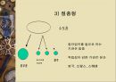 행정중심복합도시 건설에 대한 검토와 바람직한 진행방향  45페이지