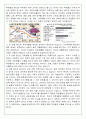 조기유학, 한국교육의 문제점 6페이지