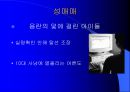 사회변화에 따른 범죄 11페이지