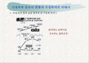 사회변화에 따른 범죄 42페이지