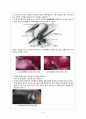 OR 간호실습) L.C case study 8페이지