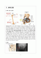 대퇴골경부골절(Femur Neck Fracture) case study 3페이지