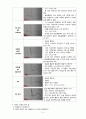 심전도(Electrocardiogram) EKG(중환자간호) 정의, 원리, 심전도 기록, 심전도 리듬의 분석, 심전도 판독  4페이지