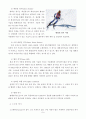  스키 9페이지