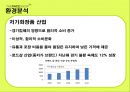 성공기업_ 더페이스샵 5페이지