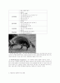 생활환경과 알러지(알레르기 Allergy) (알레르기의 정의, 알레르기의 원인, 대표적인 알레르기성 질환, 최근 알레르기 질환의 증가, 예방법) 4페이지