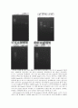 (실험결과) ABO 혈액형의 분자적 유전자형 Molecular Genotyping of the ABO Blood Types
 4페이지
