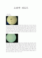 [요화학] 요검경 Urine Microscopy 1페이지