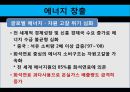 이명박 정부의 녹색성장  14페이지