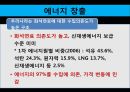 이명박 정부의 녹색성장  15페이지