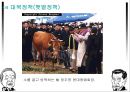 YS와 DJ의 역사 속 리더쉽 [김영삼 정부 업적] 31페이지