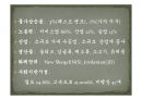 팔레스타인 Palestine  33페이지