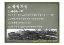 팔레스타인 Palestine  90페이지