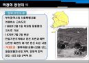박정희 정권의 경제개발 계획을 이끈 경제학자와 관료  10페이지