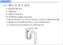 건축 설비 계획 - 배수 및 통기설비.ppt 26페이지