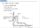 건축 설비 계획 - 배수 및 통기설비.ppt 47페이지