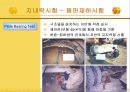 건축시공-토공사 10페이지