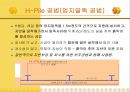 건축시공-토공사 31페이지