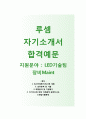 (루셈 LED기술팀 장비 Maint 자기소개서) 루셈 자기소개서와 면접기출문제 [루셈 자소서루셈 기술팀 채용 지원동기 첨삭항목] 1페이지