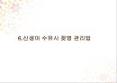 올바른 수유 및 방법-모유수유, 분유, 젖병관리, 트림, 모유와 수유비교 PPT 프레젠테이션 13페이지