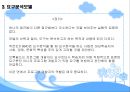 [★우수레포트★][요구분석] 요구분석의 개념, 기법, 요구분석 방법, 모델, 요구분석 진단 등 22페이지