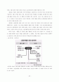 [포스코 분석] 철강산업 분석, 포스코 기업분석, 포스코 SWOT, 투자 타당성, 새로운 마케팅 전략 제언 55페이지
