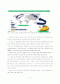 [포스코 분석] 철강산업 분석, 포스코 기업분석, 포스코 SWOT, 투자 타당성, 새로운 마케팅 전략 제언 77페이지