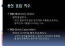 국제 운송 물류 부정기선의 운임의 유형 및 종류.pptx 4페이지