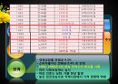 우리나라 경제 발전에 대한 평가 12페이지