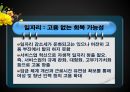 우리나라 경제 발전에 대한 평가 25페이지