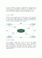 [e-Business]E-Business(e-비즈니스)의 개념(정의)과 유형(분류) 14페이지