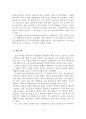 외국문화 수용 9페이지