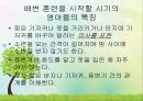 영유아의 건강생활 습관지도 (아동건강교육, 배변훈련, 손씻기, 치아관리, 휴식과낮잠, 식생활, 편식, 식생활 행동지도).pptx 8페이지