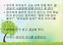 영유아의 건강생활 습관지도 (아동건강교육, 배변훈련, 손씻기, 치아관리, 휴식과낮잠, 식생활, 편식, 식생활 행동지도).pptx 11페이지
