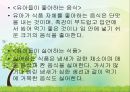 영유아의 건강생활 습관지도 (아동건강교육, 배변훈련, 손씻기, 치아관리, 휴식과낮잠, 식생활, 편식, 식생활 행동지도).pptx 49페이지