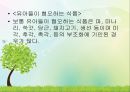 영유아의 건강생활 습관지도 (아동건강교육, 배변훈련, 손씻기, 치아관리, 휴식과낮잠, 식생활, 편식, 식생활 행동지도).pptx 50페이지